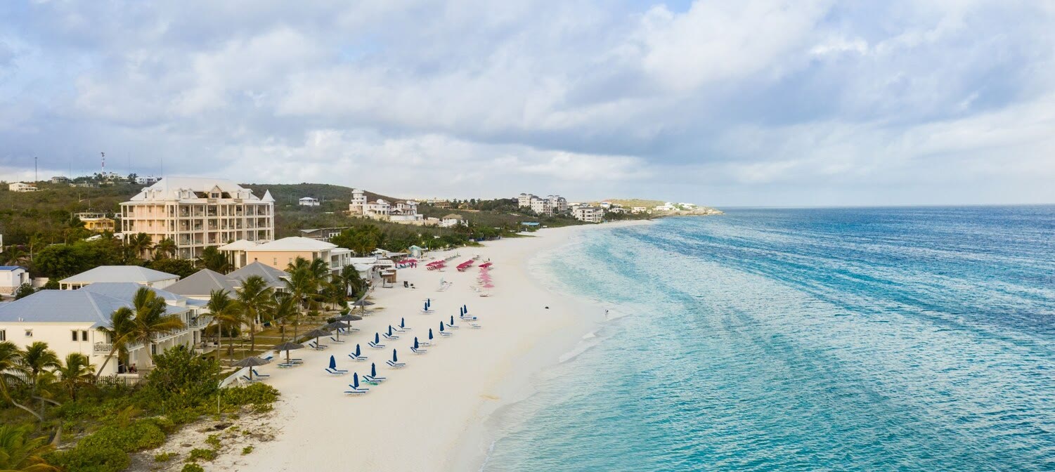 Where Your .ai Domain Money Actually Goes